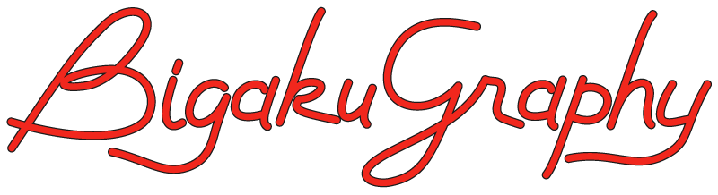 BigakuGraphy
